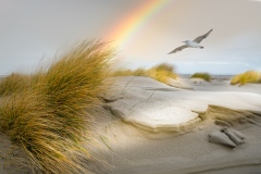 strand-van-Terschelling