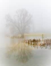 misty-morning_