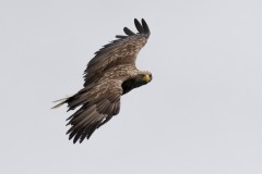 Noorwegen-2016-9-2
