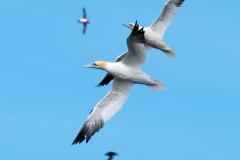 Noorwegen-2016-2-2
