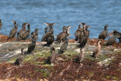 Noorwegen-2016-2-3